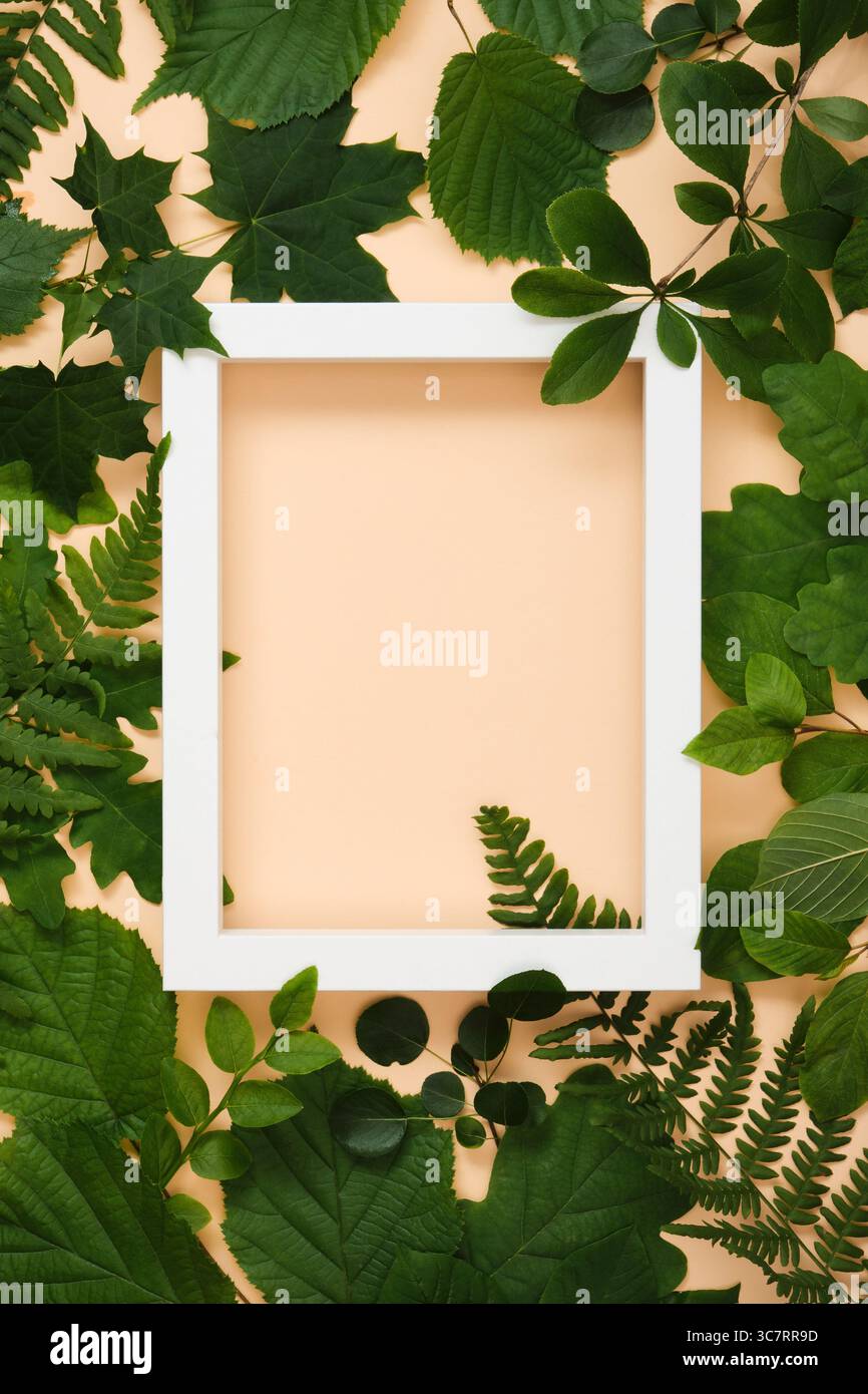 Weißer Holzrahmen für Ihren Text im Sommer grüne Baumblätter auf beigefarbenem Hintergrund. Stockfoto