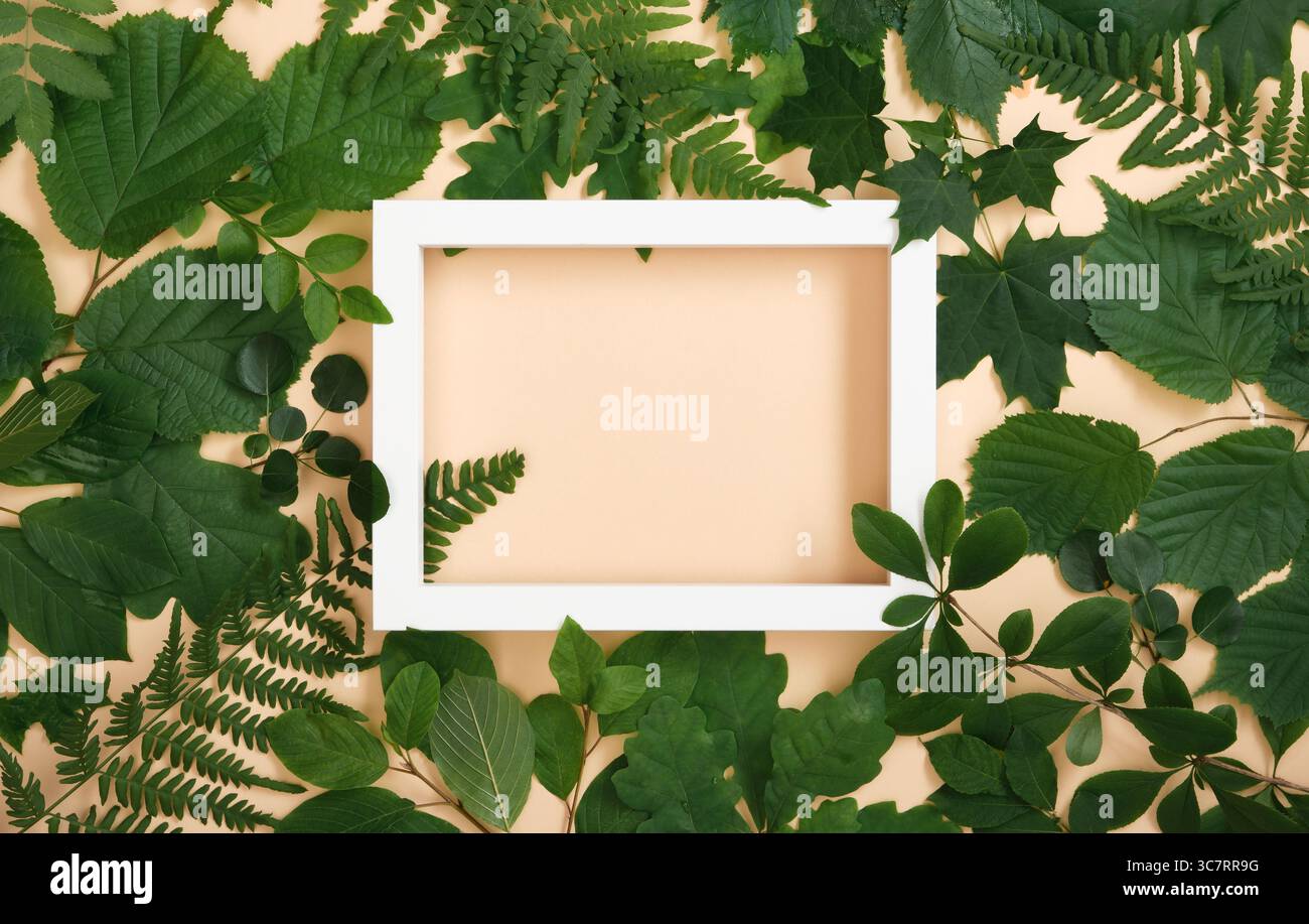 Weißer Holzrahmen für Ihren Text im Sommer grüne Baumblätter auf beigefarbenem Hintergrund. Stockfoto