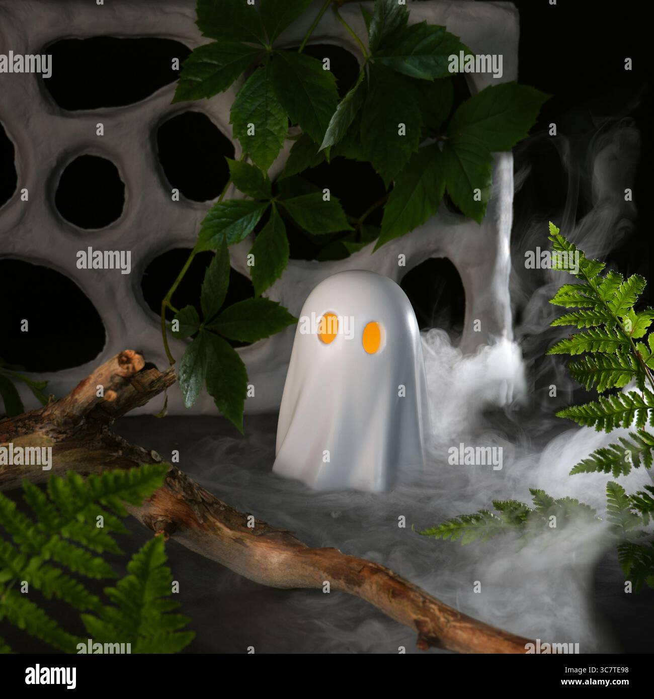 Weißer Geist mit gelben Augen in Efeu und Farnblättern. Selektiver Fokus. Stockfoto
