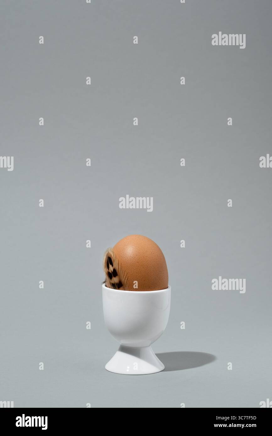Braunes Ei in weißem Eierbecher mit brauner Feder. Grauer Hintergrund, Leerzeichen für Text. Osterkarte. Stockfoto