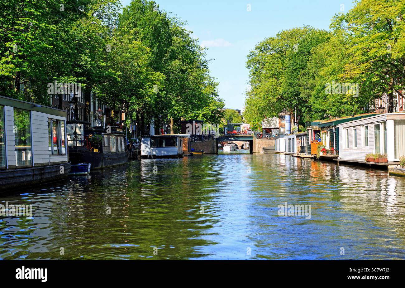 Eine Reihe von Hausbooten, die entlang eines Kanals in Amsterdam vertäut sind, sind dauerhafte Wohnhäuser Stockfoto
