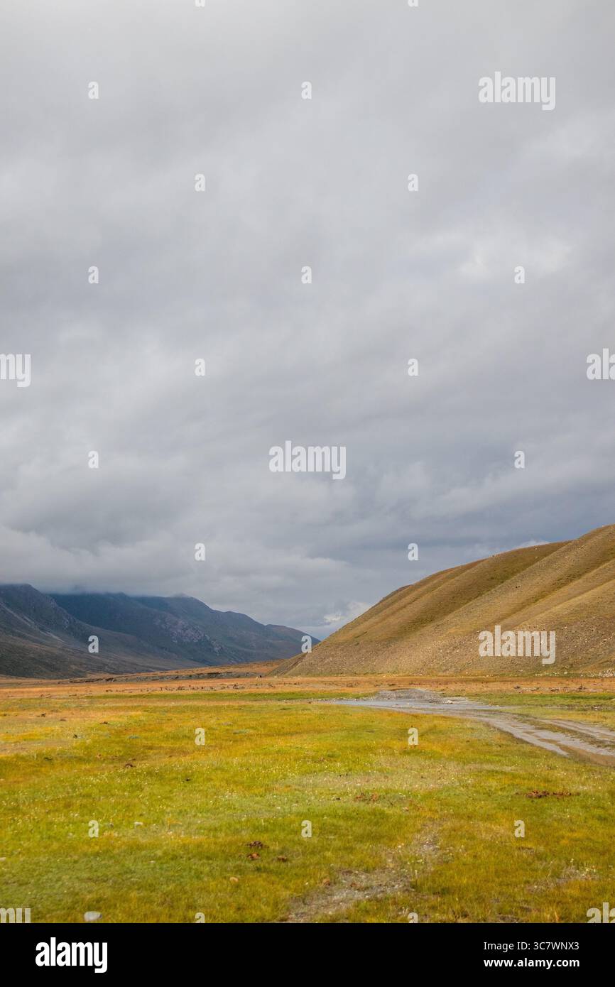 Eine unbefestigte Straße schlängelt sich durch ein riesiges grünes und goldenes Tal mit einem großen, abfallenden Hügel auf der rechten Seite und Bergen in der Ferne unter einem bewölkten Himmel Stockfoto