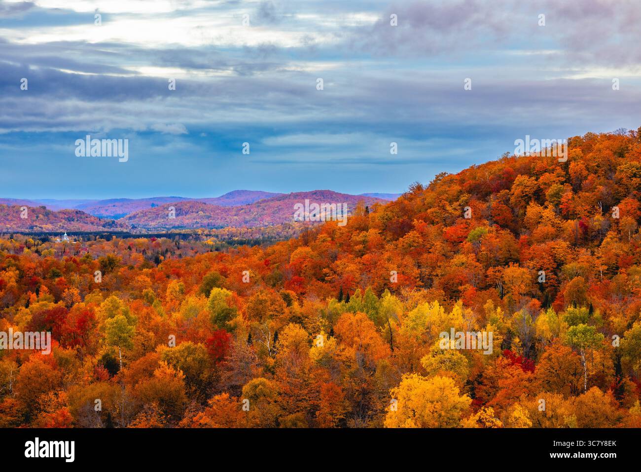 Ein lebhafter Herbstwald voller endloser Farben – Rot-, Gelb- und Orangen, die sich so weit das Auge reicht. Stockfoto