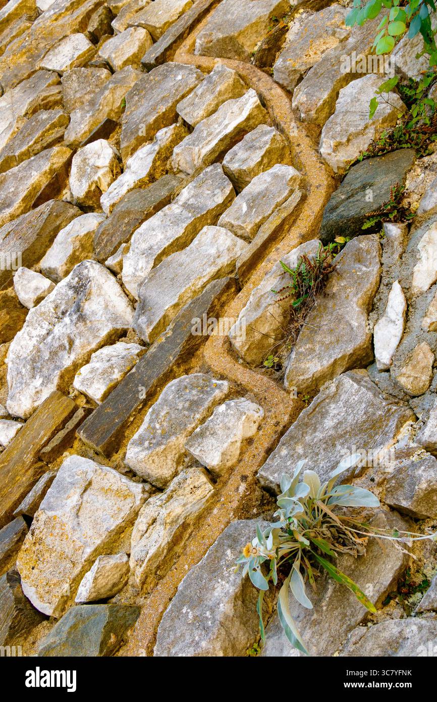 Nahaufnahme von Steinpflaster aus rechteckigem Gestein mit diagonalem gelbem Mörtel und grüner Pflanze, die aus Spalten in den Steinen sprießt. Stockfoto