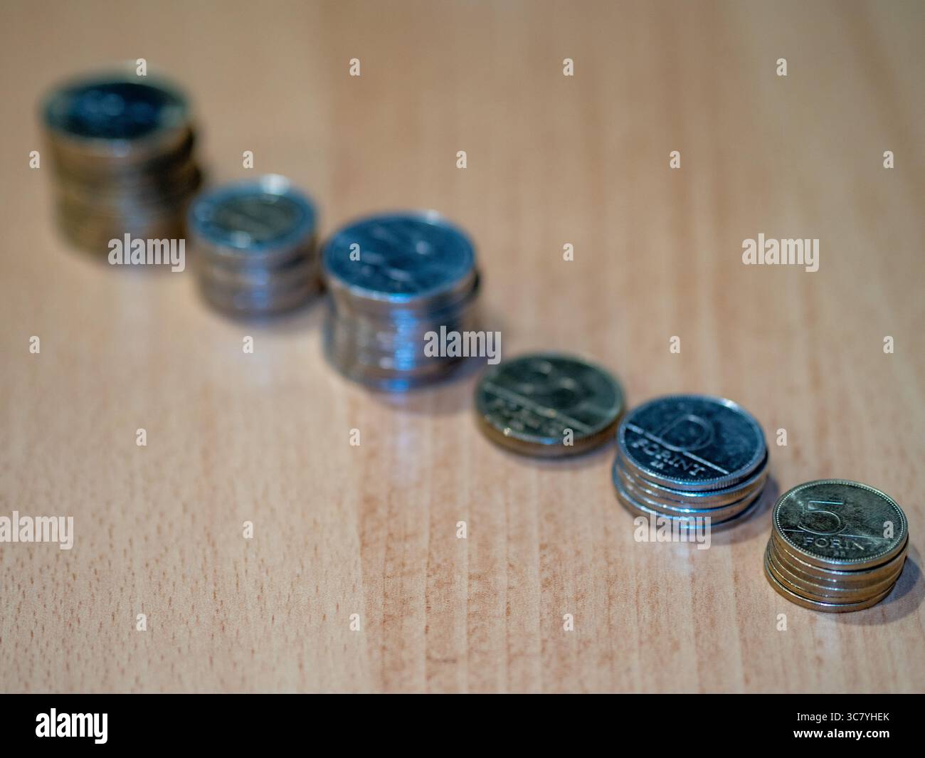 ungarisches Geld und vócredit-Karte Stockfoto
