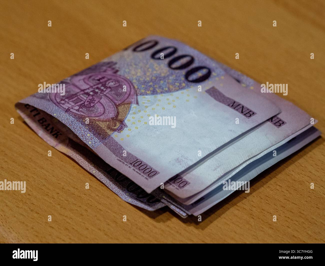 ungarisches Geld und vócredit-Karte Stockfoto