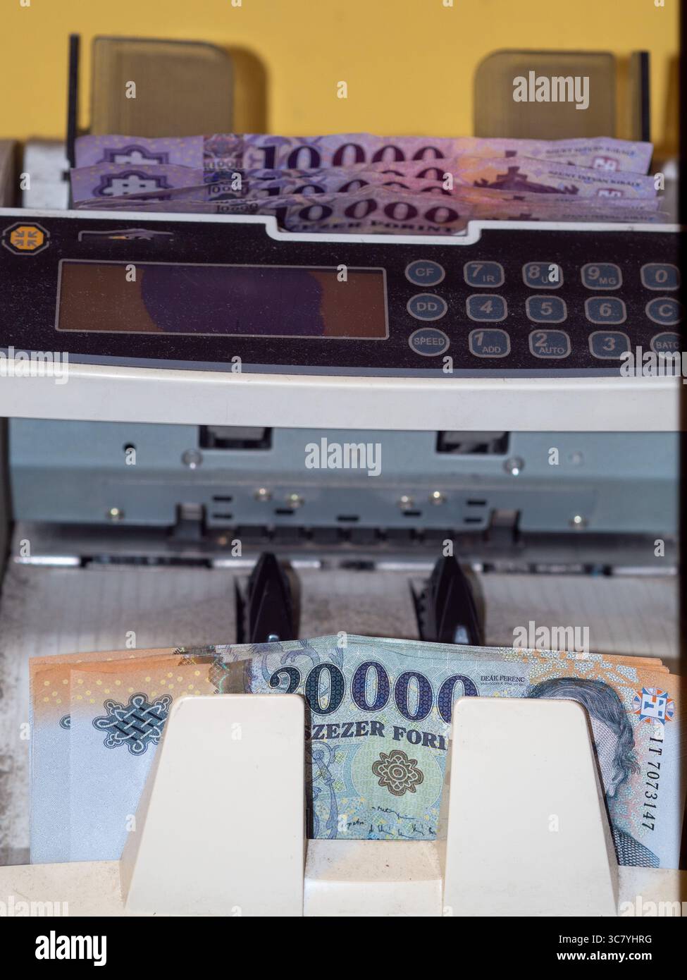 ungarisches Geld und vócredit-Karte Stockfoto