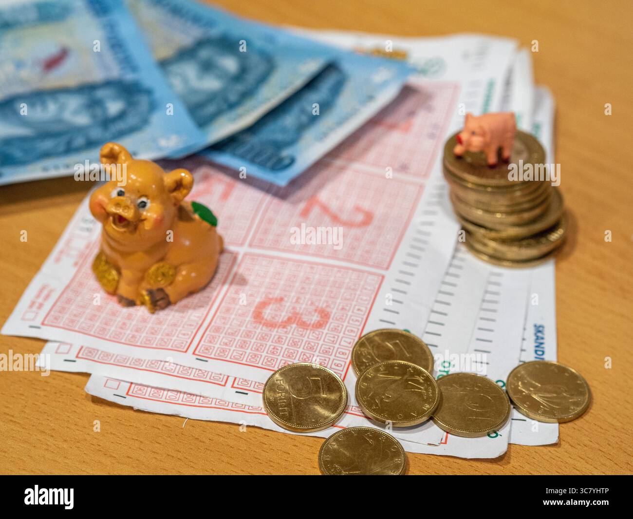 ungarisches Geld und vócredit-Karte Stockfoto