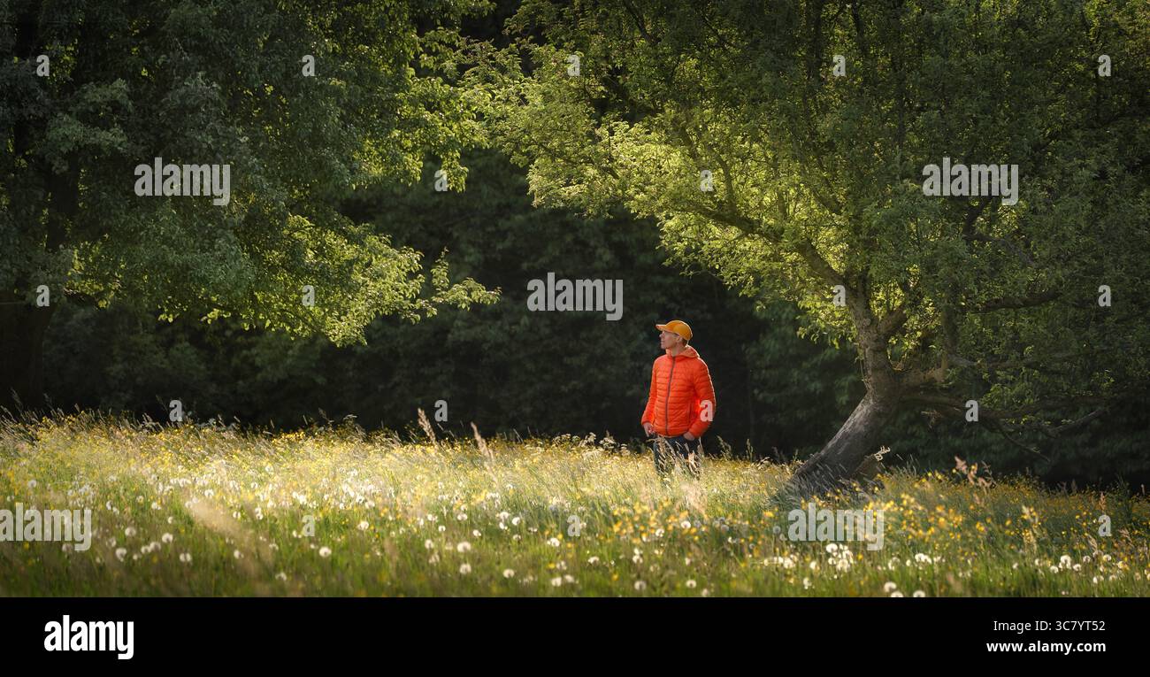 Mann, der auf einer wunderschönen blühenden Wiese steht, mit sanftem, traumhaftem Licht und einem Baumzweig, der ihn bogenförmig umrahmt Stockfoto