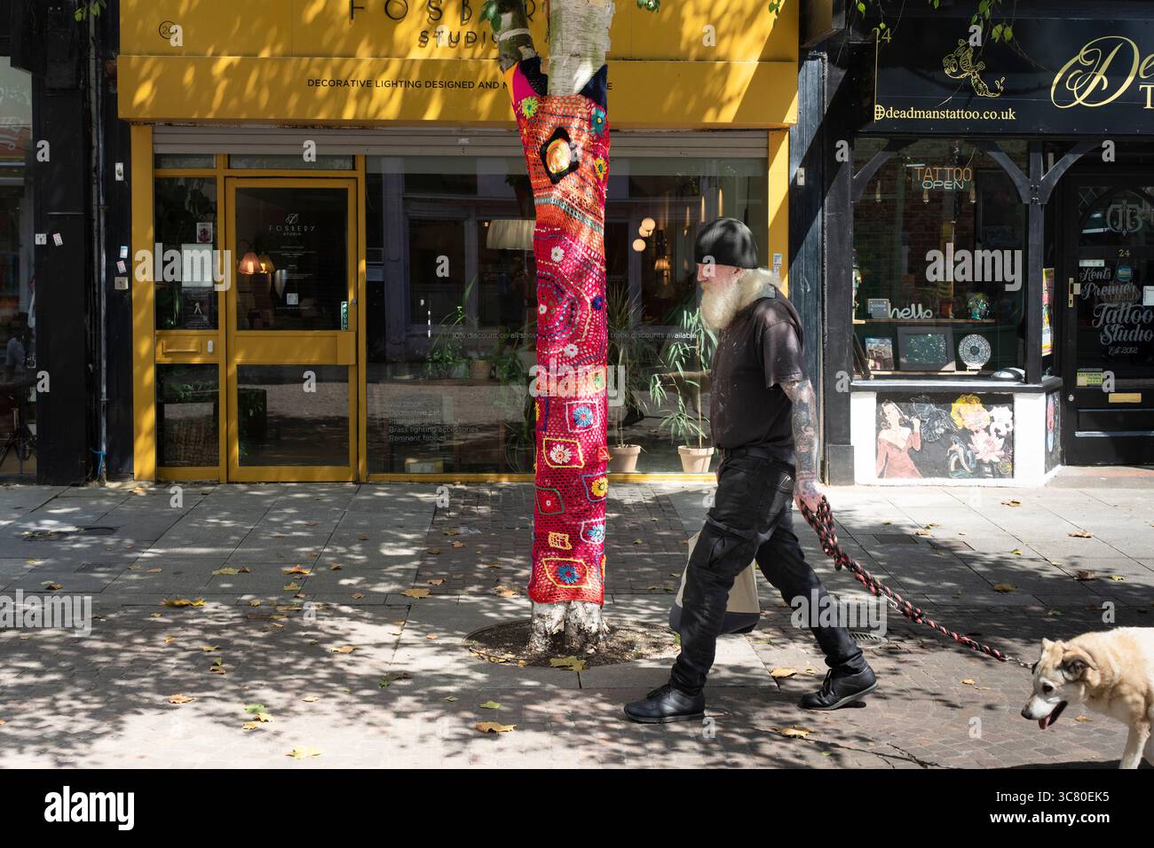 Ein Mann geht mit seinem Hund an einem Baum vorbei, der von Garnen bombardiert wurde. Der Baum ist vor Fosbery Studio und Deadman Tattoo. Stockfoto