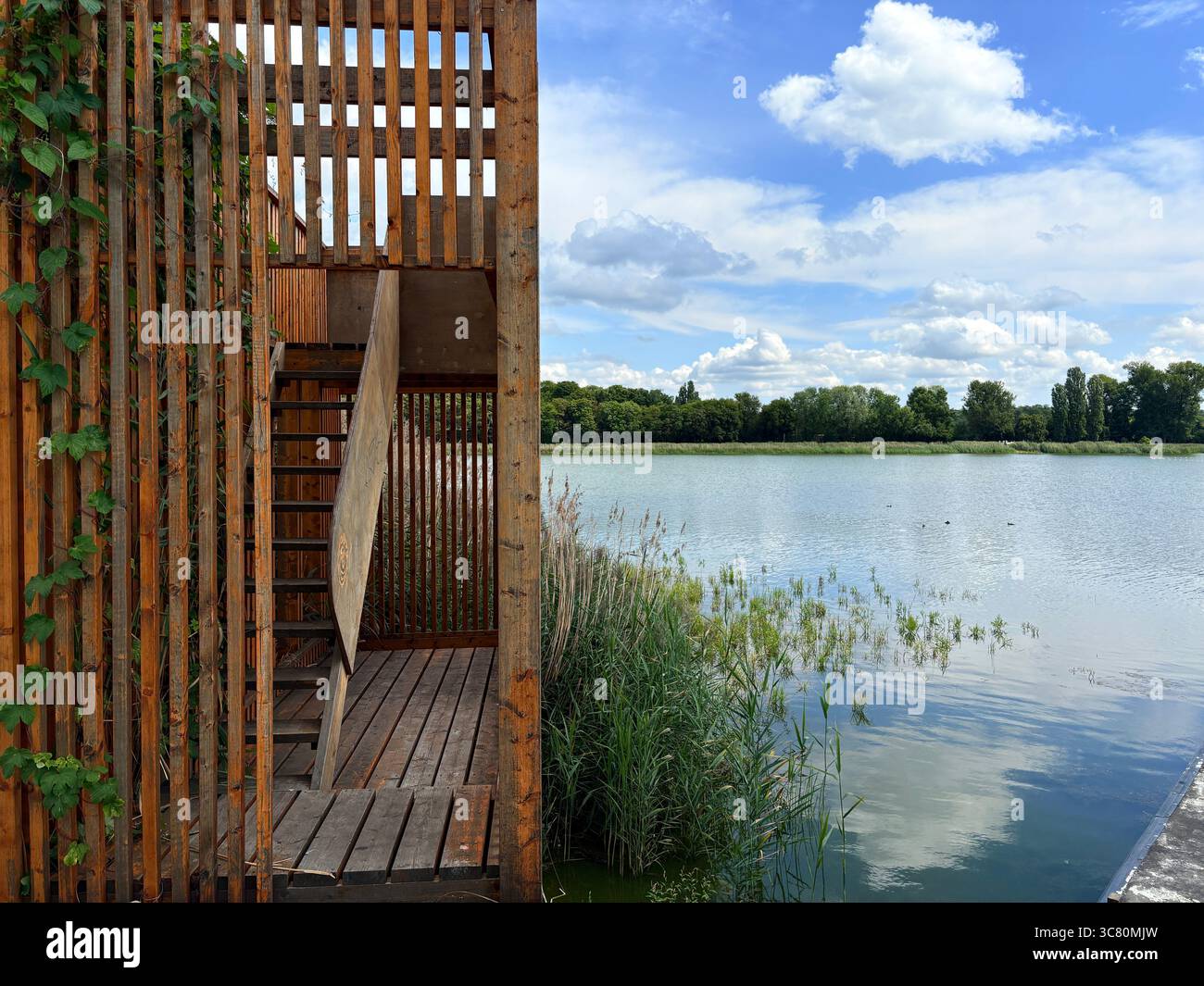 Am See gelegene hölzerne Aussichtsplattform mit Treppen und üppiger Vegetation, Malta Lake, Poznań, Polen. Sommerwolken und Reflexionen auf dem Wasser. Stockfoto Am See gelegene hölzerne Aussichtsplattform mit Treppen und üppiger Vegetation, Malta Lake, Poznań, Polen. Sommerwolken und Reflexionen auf dem Wasser. Stockfoto