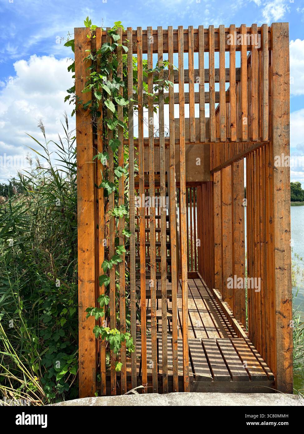 Senkrechte Holzlatten des Aussichtsplatzes am See mit grünen Weinstöcken, Sommersonnenlicht und blauem Himmel, Malta See, Poznań, Polen. Stockfoto