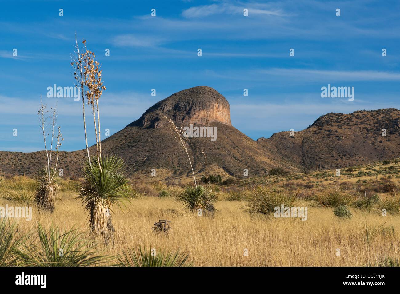 Mustang Mountains, Elgin, Arizona, USA. Stockfoto