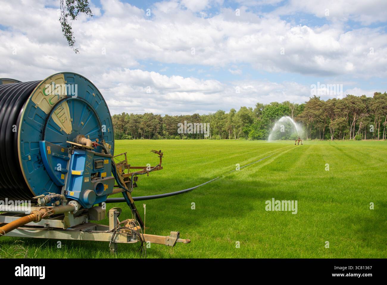 Sprinkleranlage für Wasser in Trockenperiode auf landwirtschaftlichen Flächen in Gelderland, Holland Stockfoto
