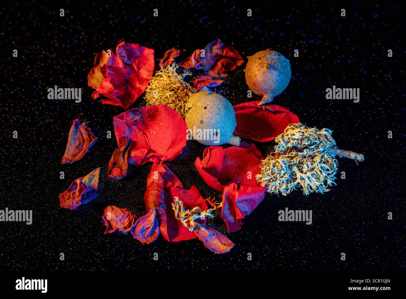 Stillleben mit dramatischem Licht Stockfoto