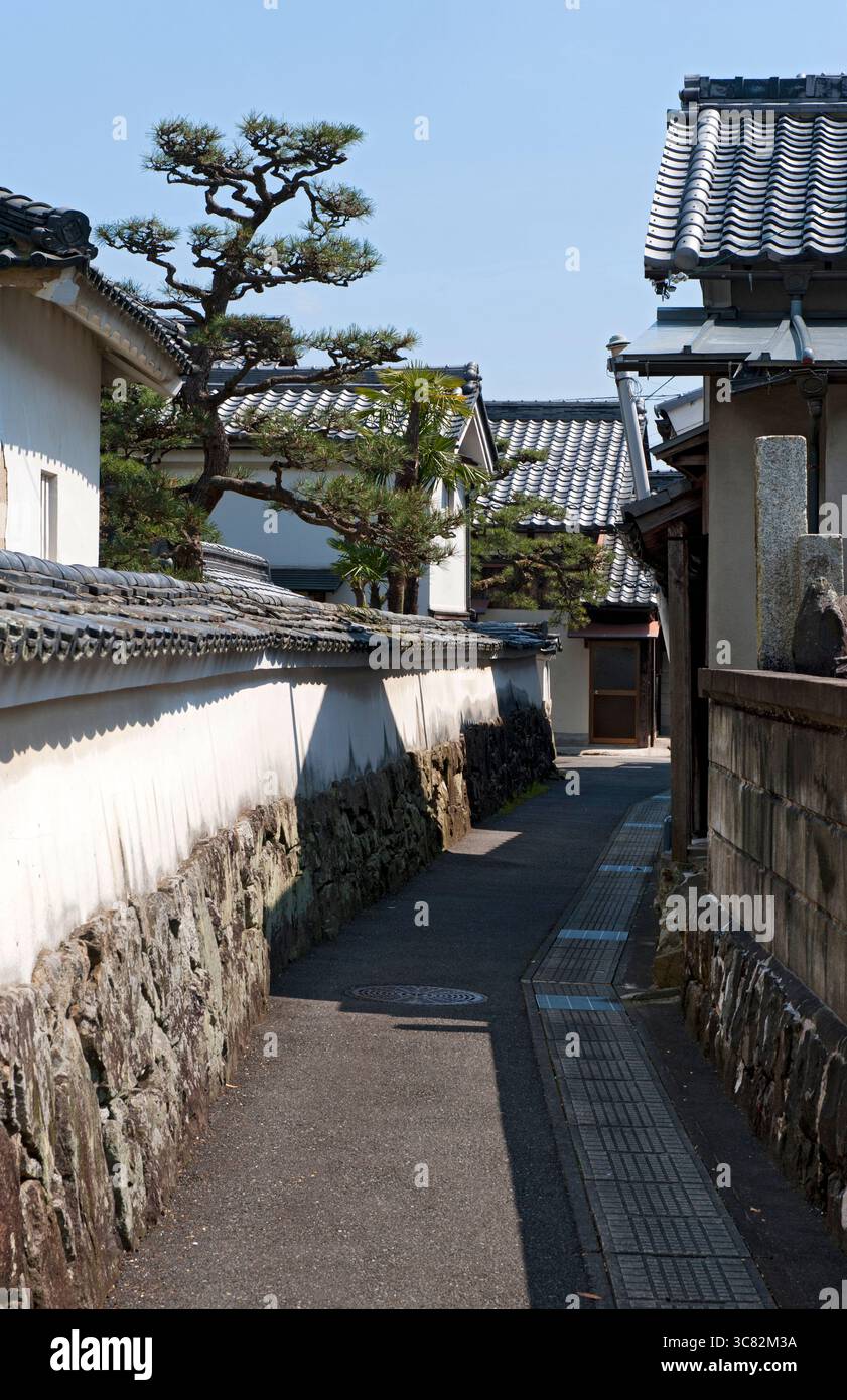 Eine gepflegte matsu-Kiefer erhebt sich über einer historischen Erdmauer einer Privatresidenz, die ein Gefühl des alten Japans in Omihachiman, Shiga, Japan erweckt. Stockfoto