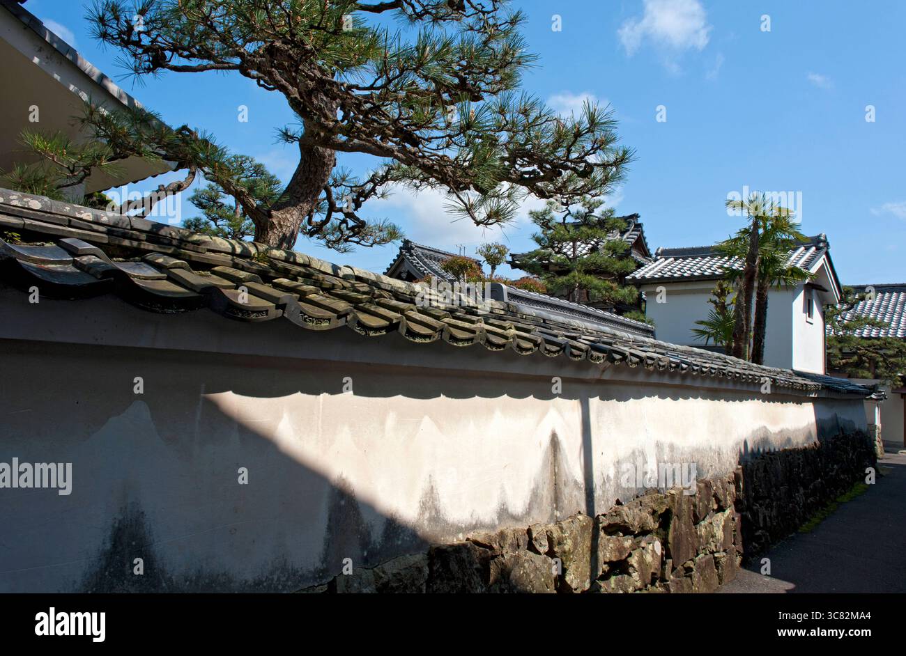 Eine gepflegte matsu-Kiefer erhebt sich über einer historischen Erdmauer einer Privatresidenz, die ein Gefühl des alten Japans in Omihachiman, Shiga, Japan erweckt. Stockfoto