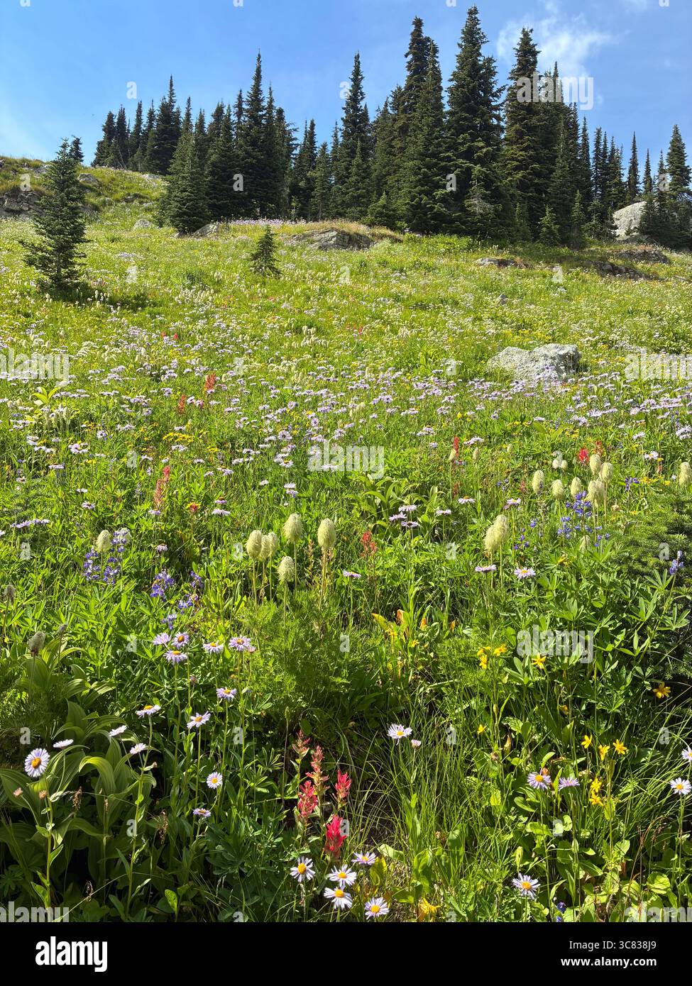 Heitere - Smartphone-aufgenommenes Stockfoto