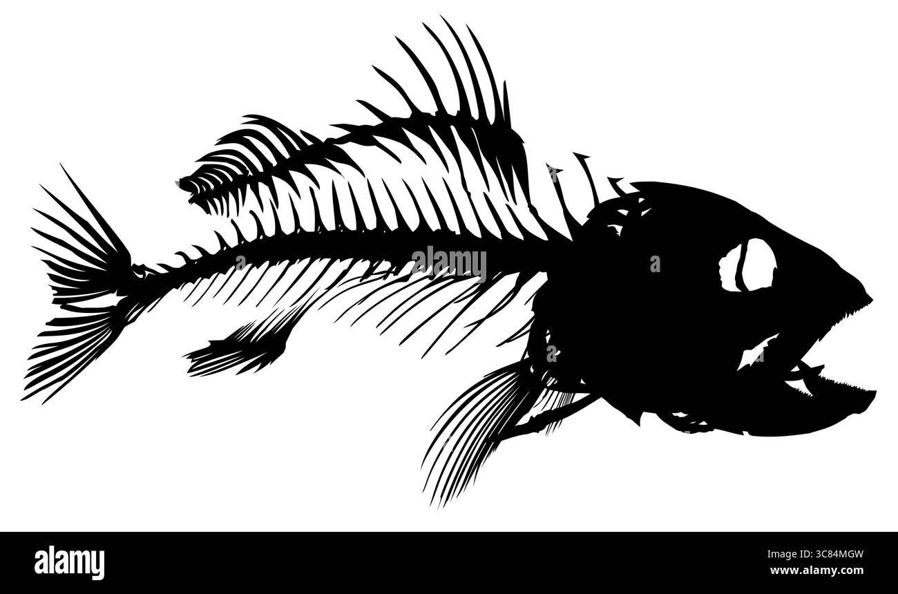 Skelett großer Raubfische. Stock Vektor