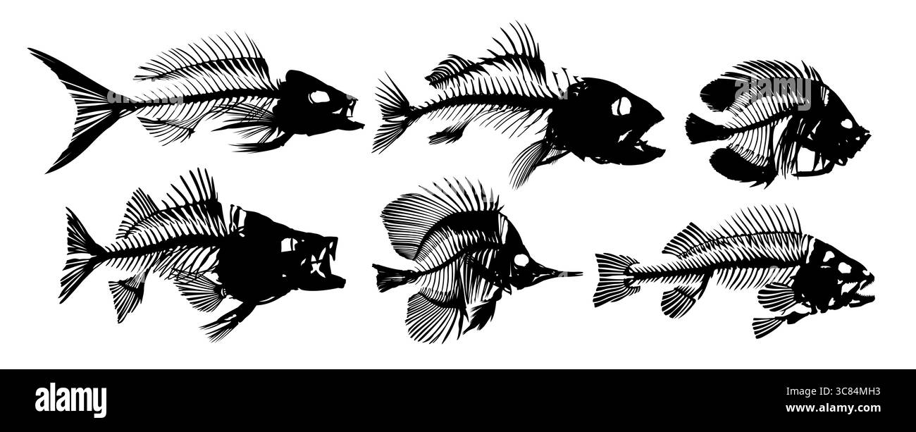 Ein Skelett mit großen Raubfischen. Stock Vektor