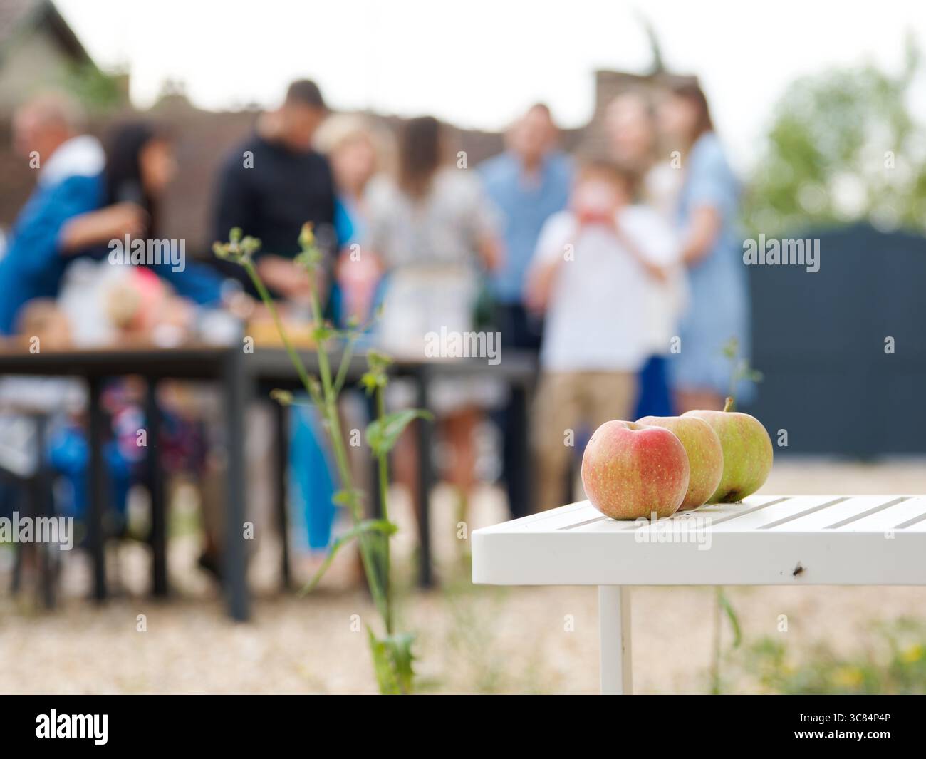 Drei Äpfel ruhen auf einem weißen Gartentisch, während sich im Hintergrund eine verschwommene Familie bei einer goldenen Hochzeitsfeier im versammelt Stockfoto