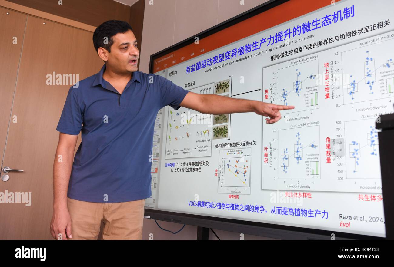 (250803) -- SANYA, 3. August 2025 (Xinhua) -- Waseem Raza teilt seine Forschungsergebnisse mit seinen Kollegen und Studenten in Sanya, südchinesischer Provinz Hainan, 29. Juli 2025. Waseem Raza, ein 45-jähriger Pakistaner, arbeitet als Associate Researcher an der Chinesischen Akademie für tropische Agrarwissenschaften (CATAS). Er promovierte an der Landwirtschaftsuniversität Nanjing und trat der Universität bis 2024 als Fakultätsmitglied bei. In diesem Jahr wird er vom CATAS Sanya Research Institute über ein hochrangiges Talentprogramm rekrutiert und beginnt eine neue Karriere. Waseem forscht über Bodenökologie, Boden m Stockfoto