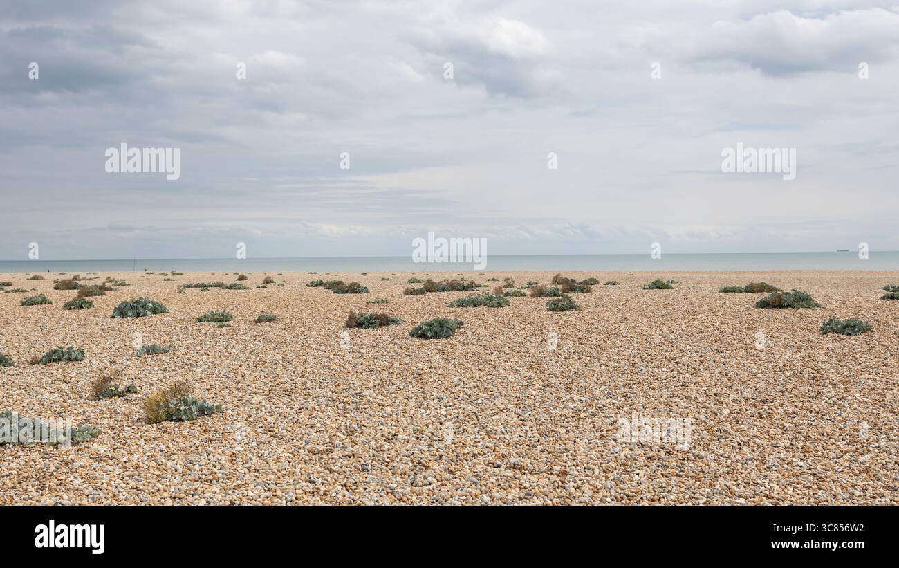 Dungeness Beach mit Shingle und Laub Stockfoto