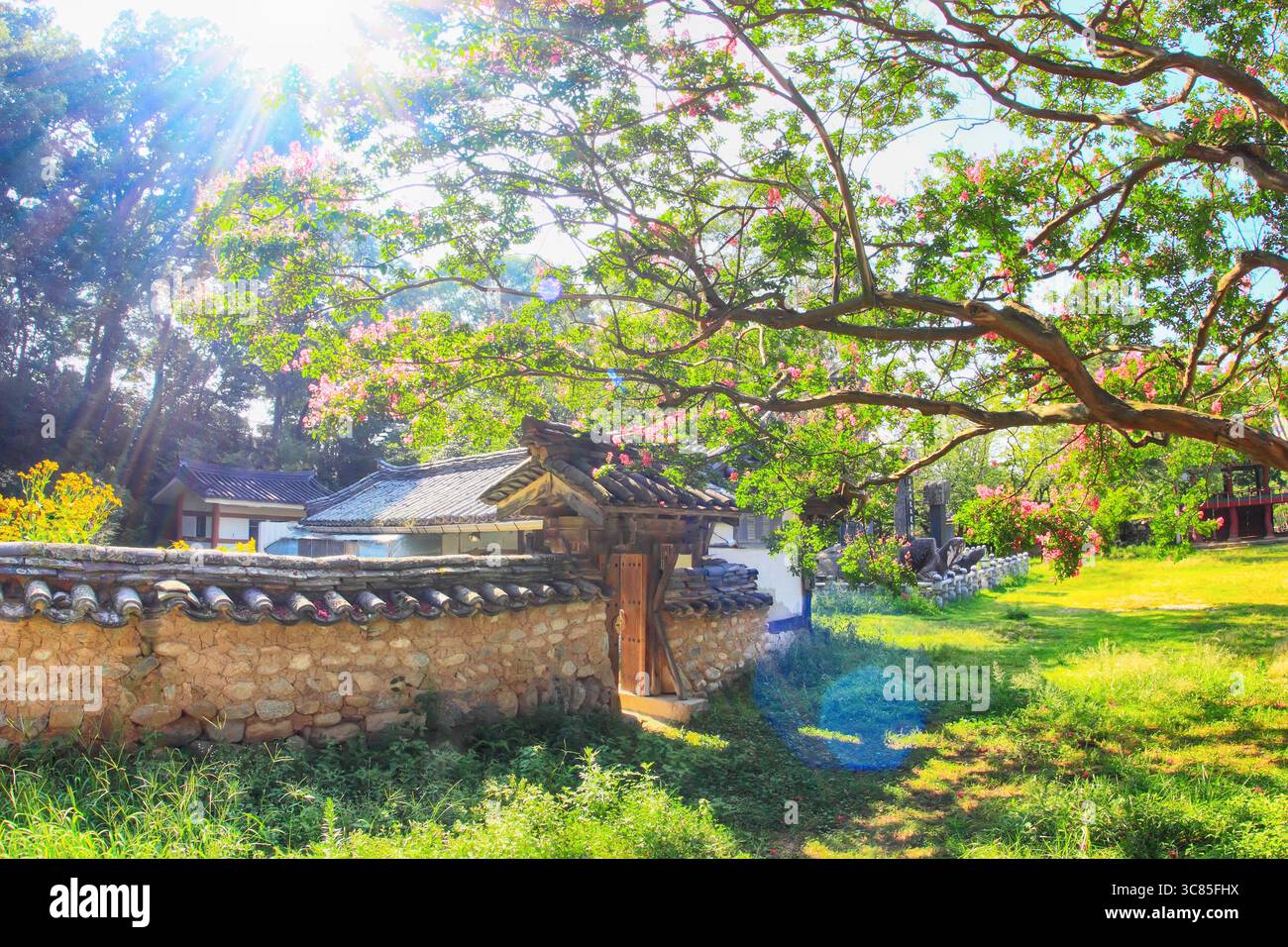 Ein Blick auf die historische Stätte von Haman und Goryeo-dong in der Provinz Süd-Gyeongsang, wo die Blüten der roten krabbenmyrte blühen Stockfoto