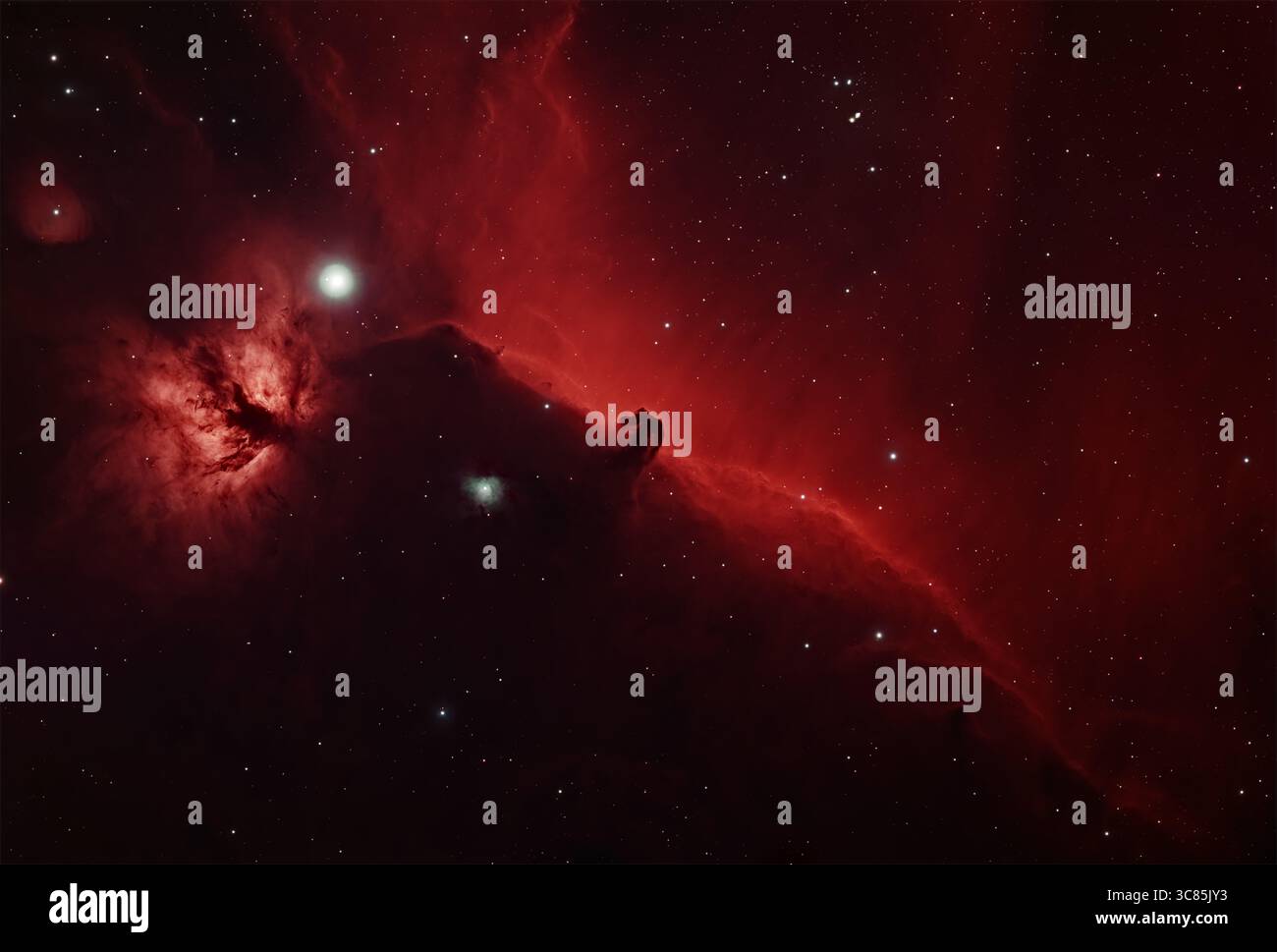 Eine Weitfeldansicht des Pferdekopfnebels in Naturfarben. Aufgenommen mit einem Askar 103APO Refraktor und einem ASI294MC aus Wellington. 6h44m-Integration. Stockfoto