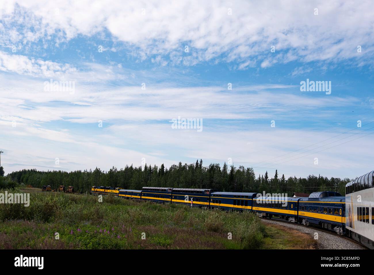 Der Denali Star Wilderness Express-Zug fährt von Fairbanks nach Denali und fährt um eine Kurve Alaska USA Stockfoto