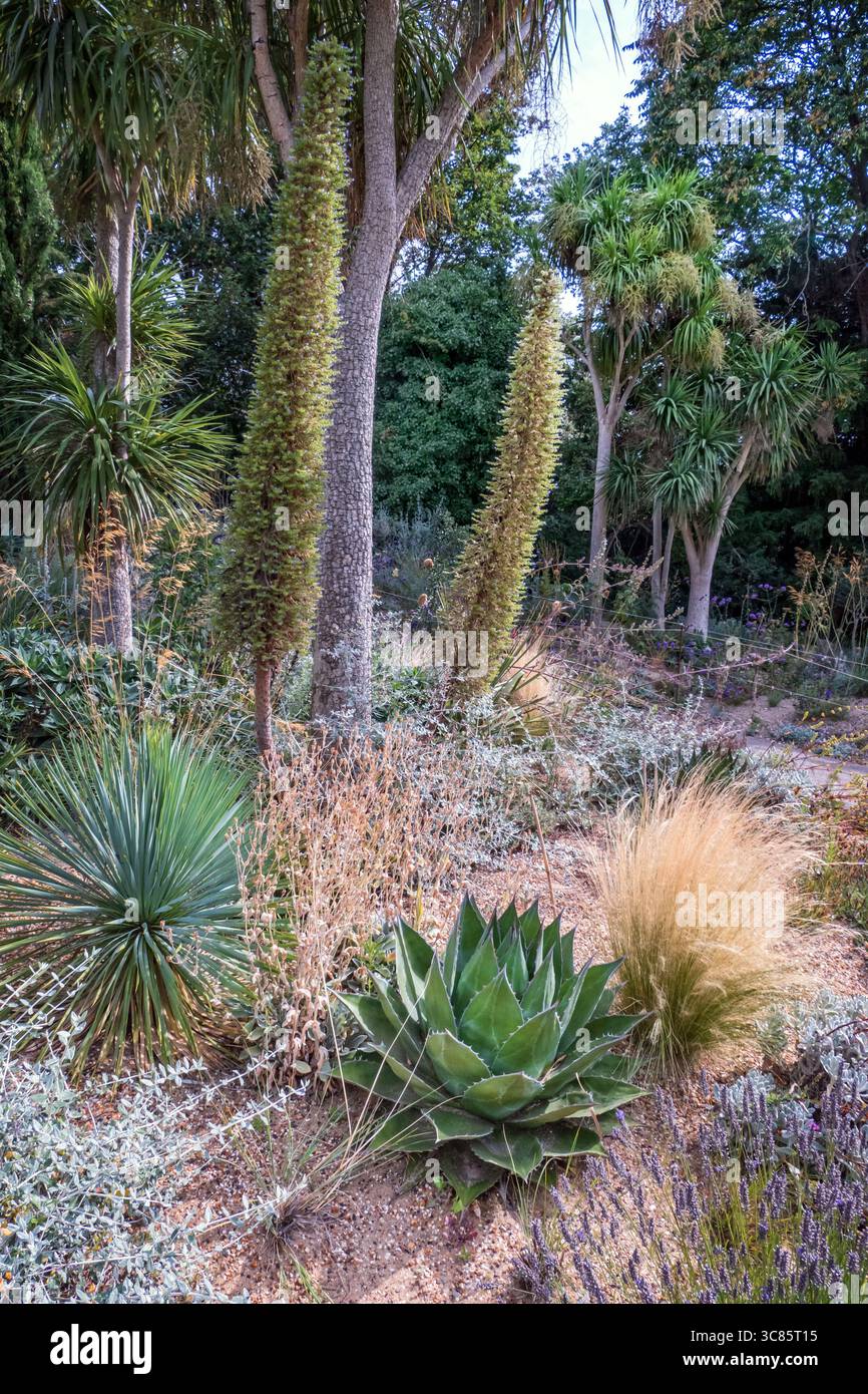 Regents Park Arid Gardens London UK im Sommer Stockfoto
