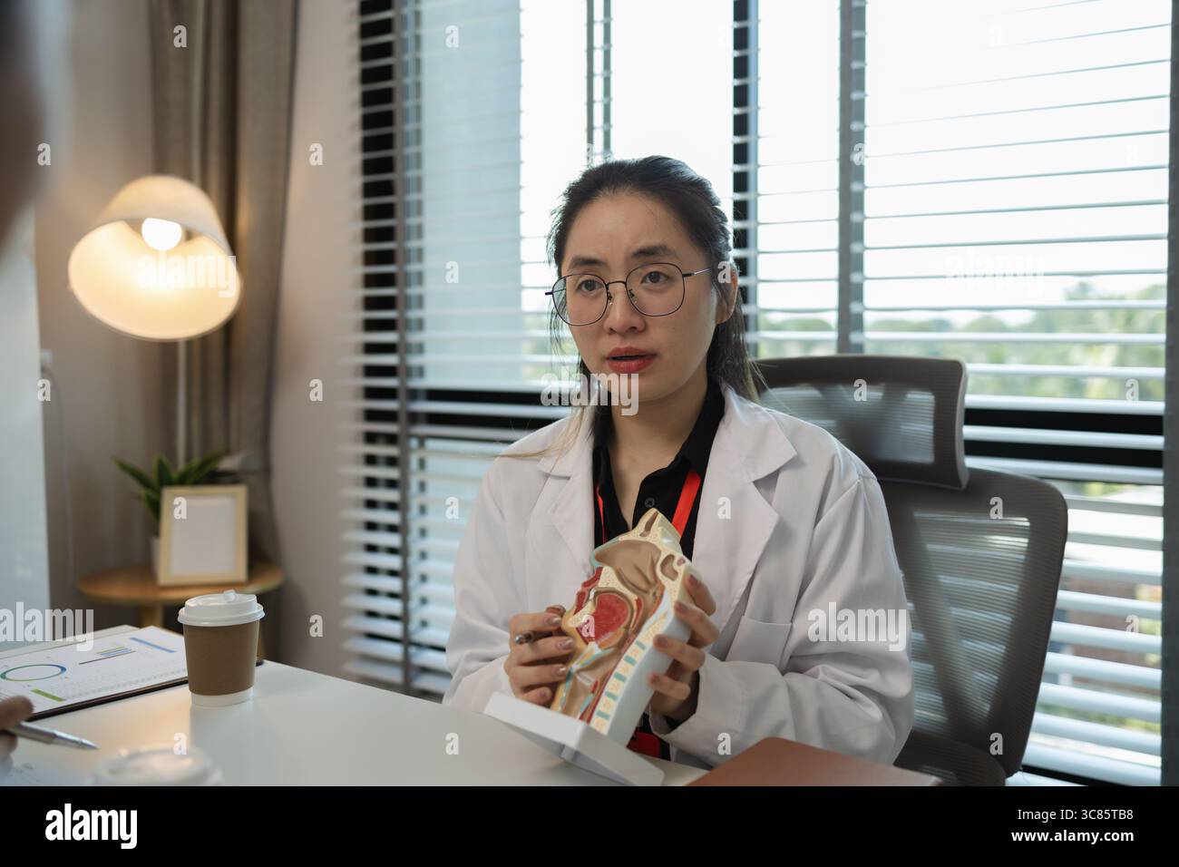 Eine Ärztin erklärt zwei Praktikanten die Systeme im menschlichen Körper, drei Ärzte treffen sich, um die am besten geeignete Behandlungsmethode zu besprechen Stockfoto