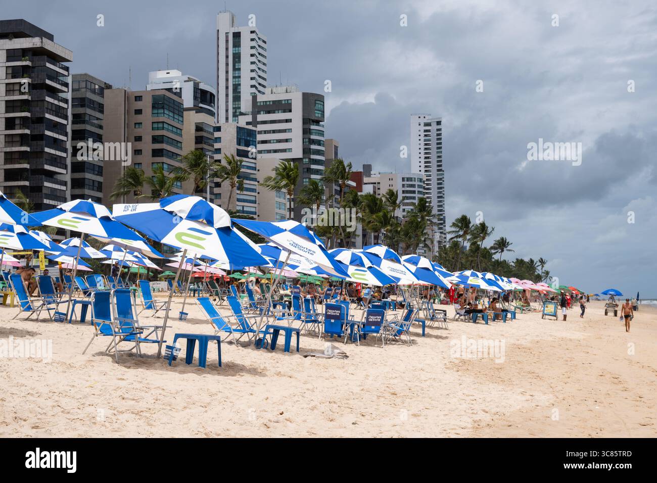 Erste Linie des Recife Strandes, gefüllt mit Sonnenschirmen auf dem Sand, mit Hochhäusern im Hintergrund Stockfoto