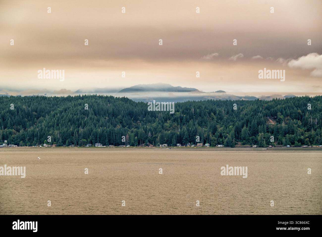 Der Rauch des Bear Gulch-Waldfeuers aus Sicht des Alderbrook Resorts nahe Union, WA, am Hood Canal, 1. August 2025. Das Feuer selbst ist etwa 16 Meilen entfernt Stockfoto