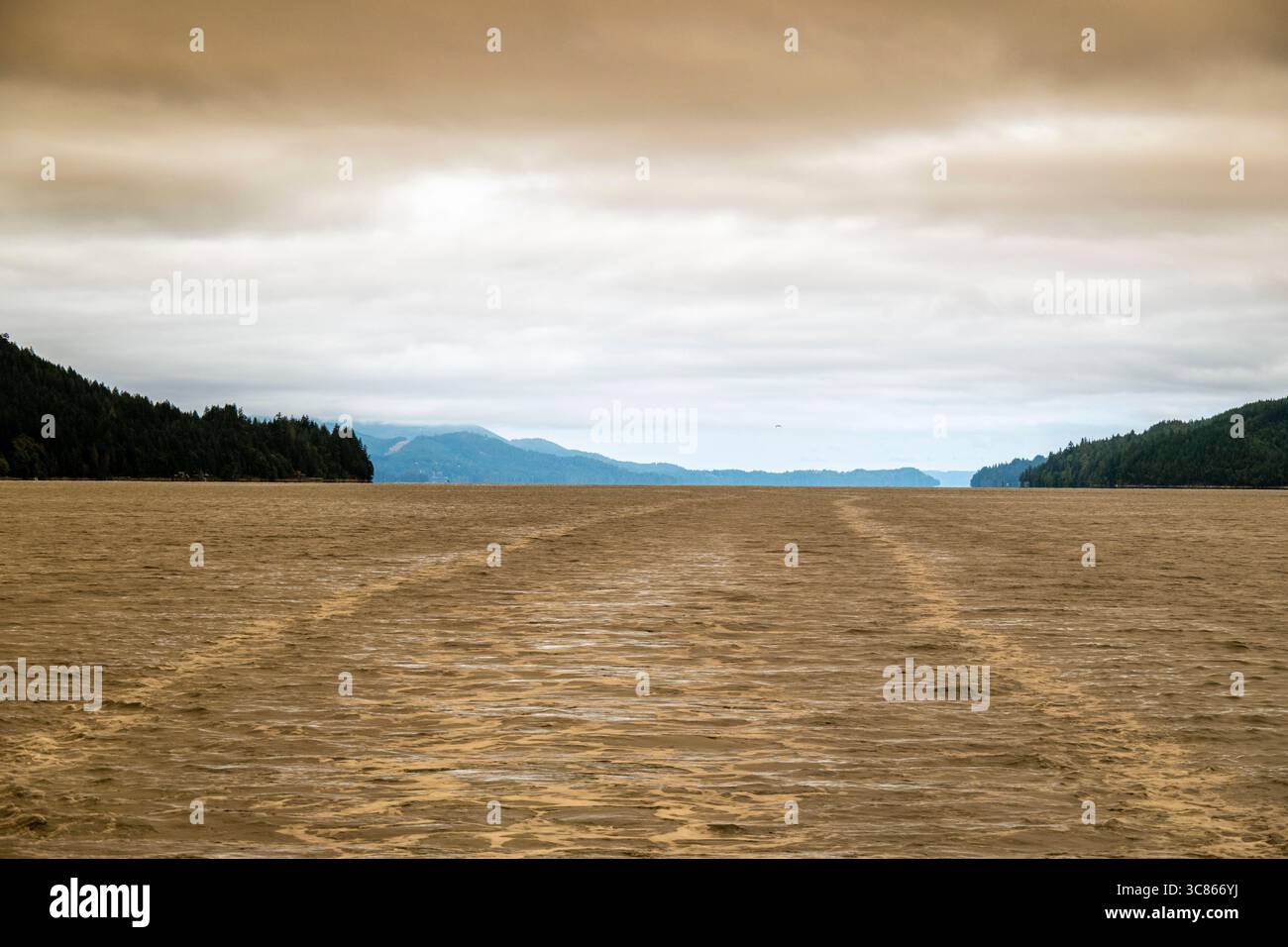 The Bear Gulch Wildfire Smoke aus Lilliwaup, WA, on the Hood Canal, 1. August 2025. Das Feuer selbst liegt etwa 7 Meilen westlich des Hood Canal in Th Stockfoto