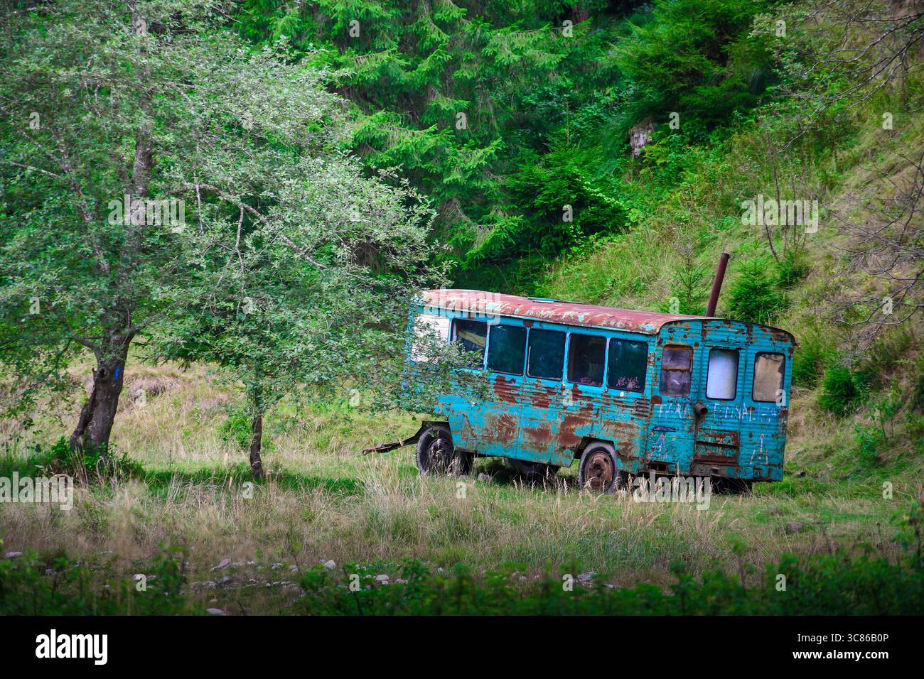 Ein alter, rostbedeckter blauer Bus sitzt verlassen in einer abgelegenen Waldlichtung, teilweise versteckt von Bäumen und hohem Gras. Die Natur, die menschliche Spuren zurückgewinnt. Stockfoto