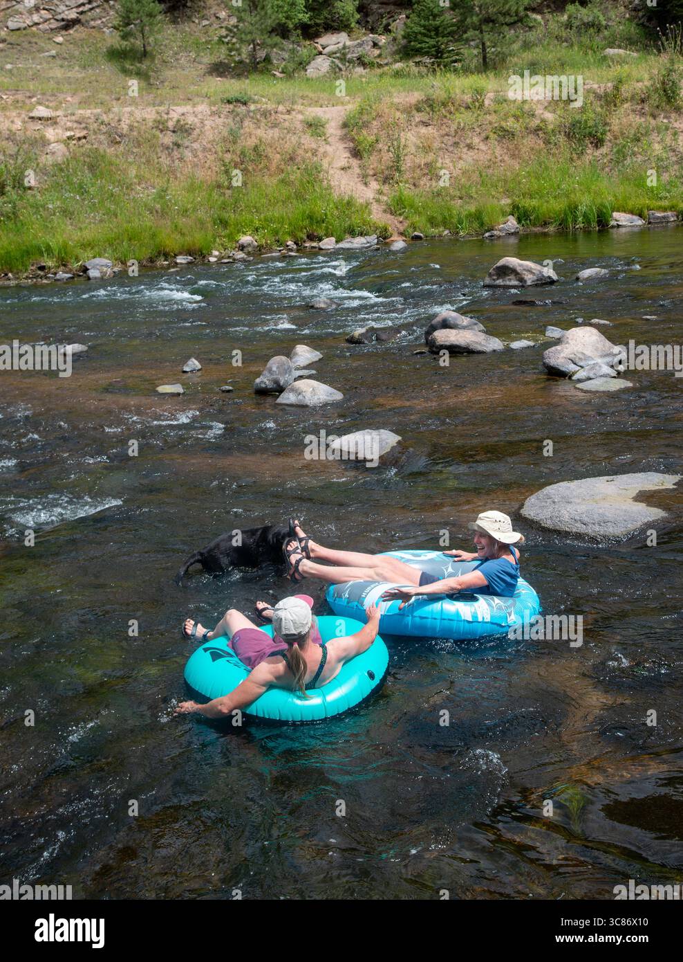 Zwei Erwachsene Frauen schweben in ihren aufblasbaren Innenröhren den Eleven Mile Canyon hinunter. Colorado. Stockfoto