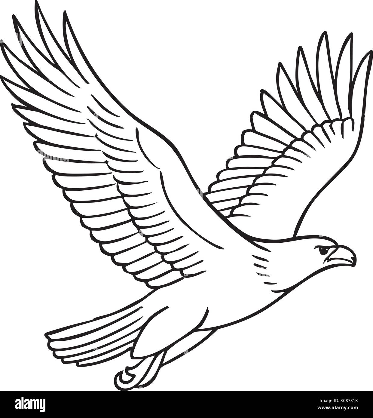 Eine Umrisszeichnung eines Adlers im Flug mit weit ausgebreiteten Flügeln. Stock Vektor