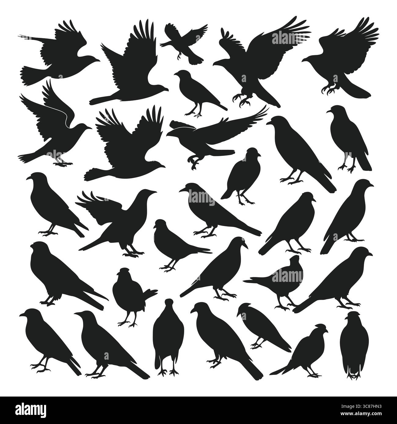 Große Sammlung von Vogelsilhouetten in verschiedenen Stock Vektor