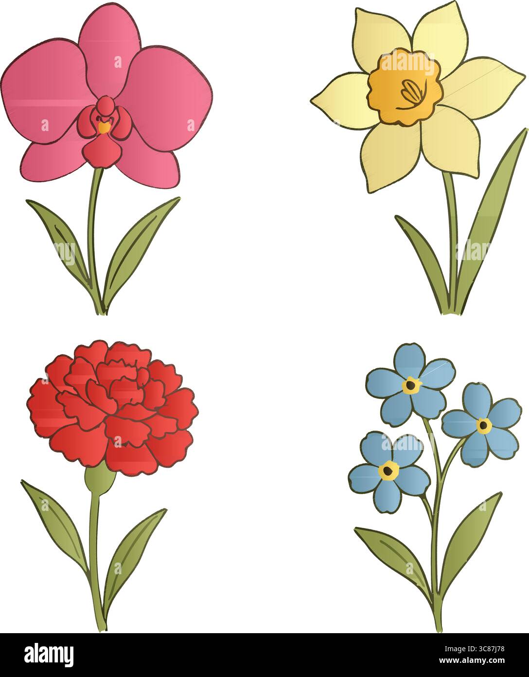 Vier zarte Blumenillustrationen mit einer rosafarbenen Orchidee, einer gelben Narzissen, einer roten Nelke und einem blauen Vergissmeinnicht. Stock Vektor