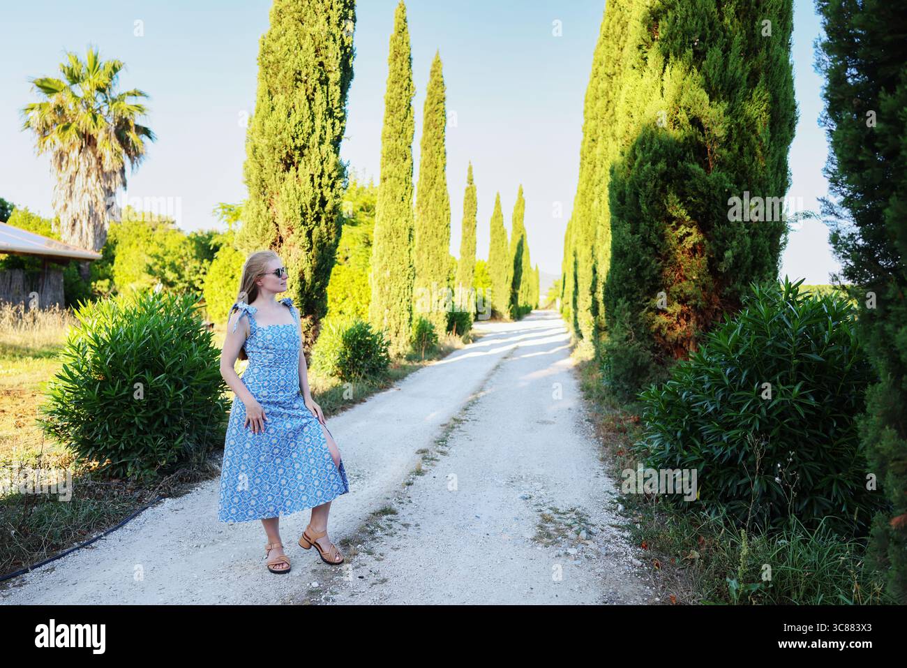 Blonde Frau in blauem Kleid, die im goldenen Sonnenlicht zwischen Zypressen läuft. Stockfoto