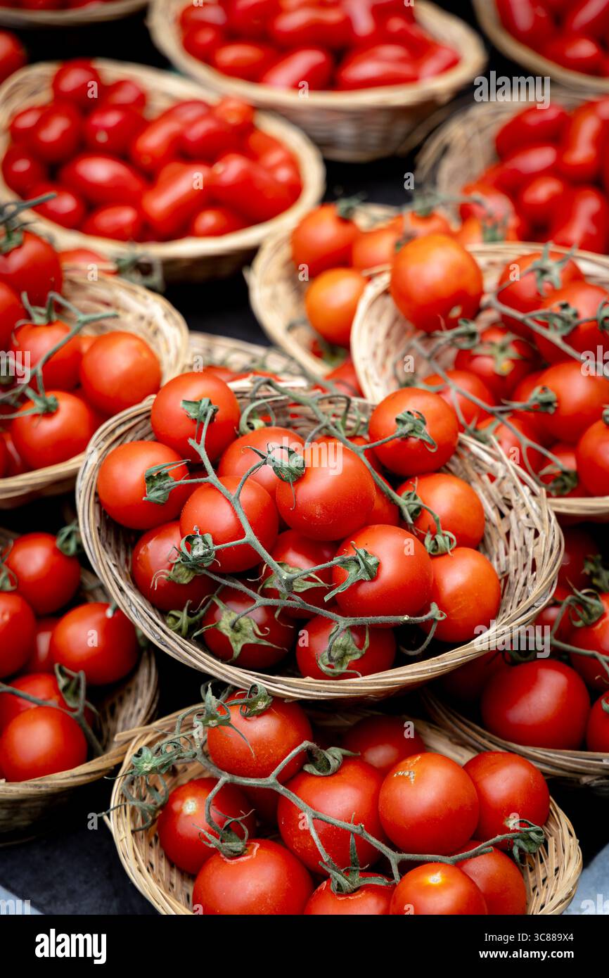 Tomaten auf der Rebe in rustikalen Schilfkörben auf einem Bauernmarkt (Kingston Market, London, England) Stockfoto