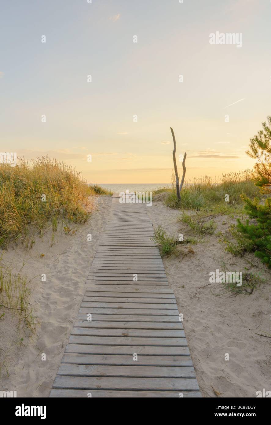 Ostseestrand während der goldenen Stunde, in Pērkone, in der Nähe von Liepāja, Lettland Stockfoto