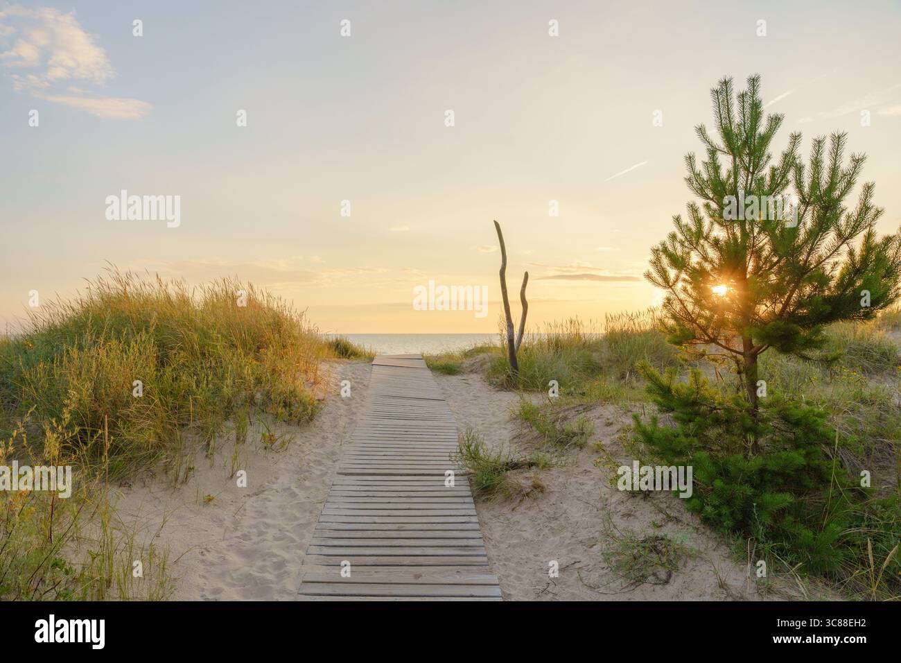 Ostseestrand während der goldenen Stunde, in Pērkone, in der Nähe von Liepāja, Lettland Stockfoto