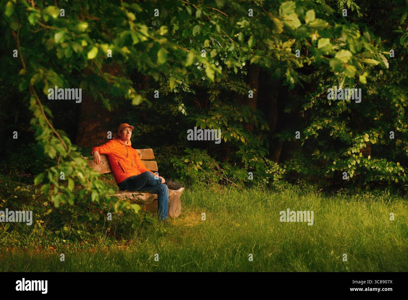 Junger Mann, der auf einer Parkbank unter den grünen Ästen eines Baumes sitzt und das warme untergehende Sonnenlicht genießt Stockfoto