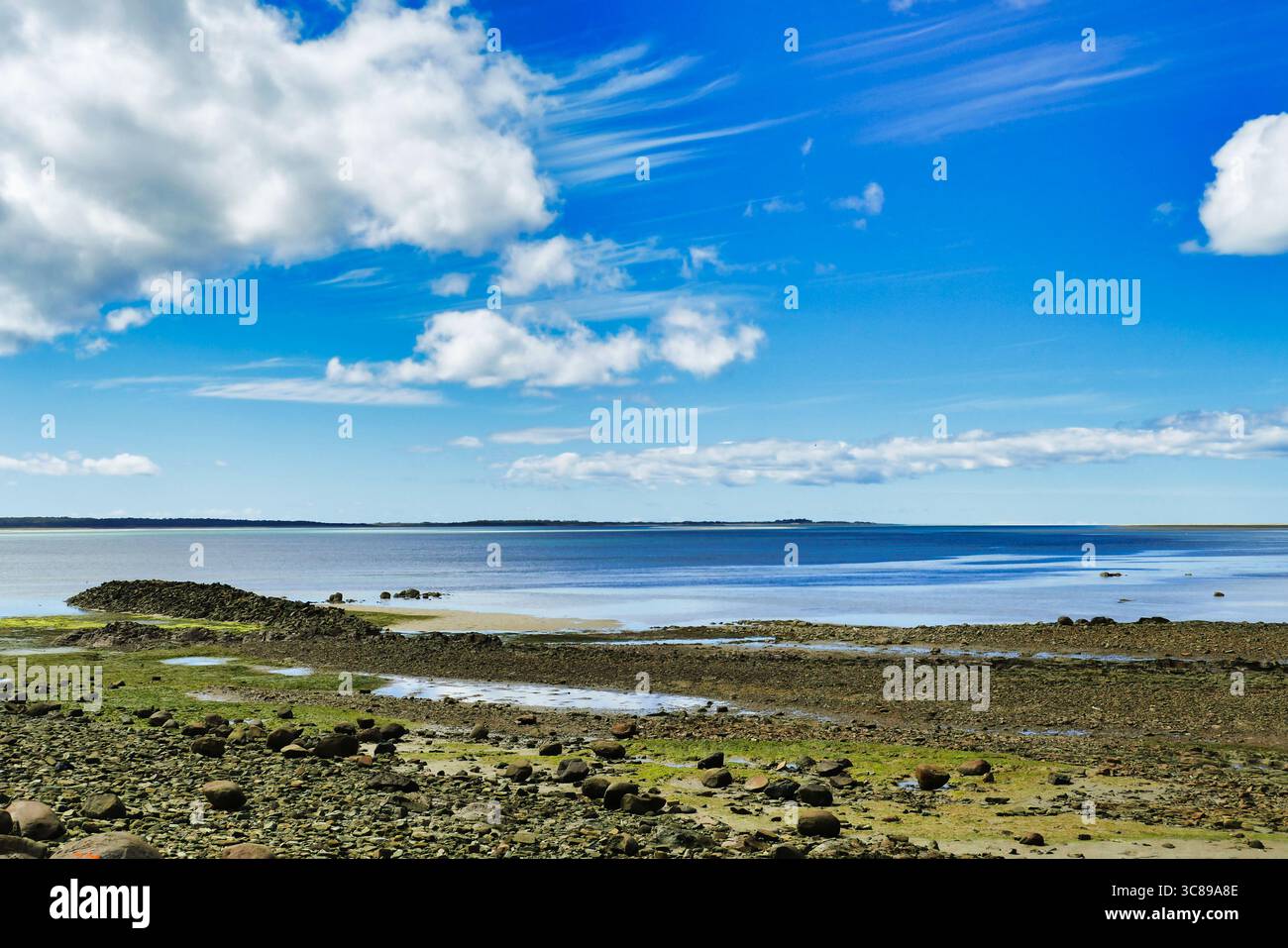 Die abgelegene felsige Gezeitenküste bei Montagu, Circular Head, im äußersten Nordwesten Tasmaniens, Australien. In der Ferne Robbins Island in der Bass Strait Stockfoto