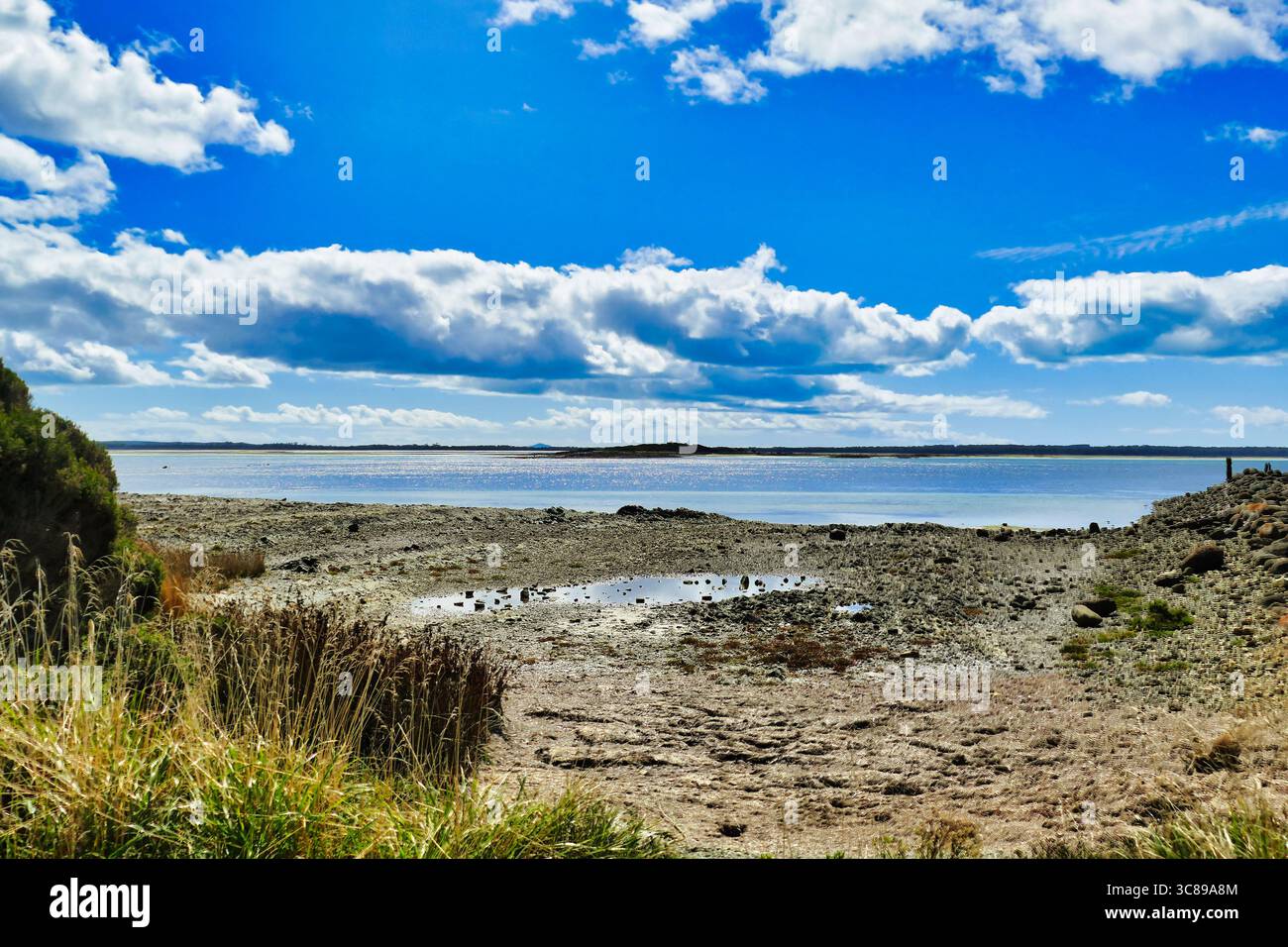 Die abgelegene felsige Gezeitenküste bei Montagu, Circular Head, im äußersten Nordwesten Tasmaniens, Australien. In der Ferne Robbins Island in der Bass Strait Stockfoto