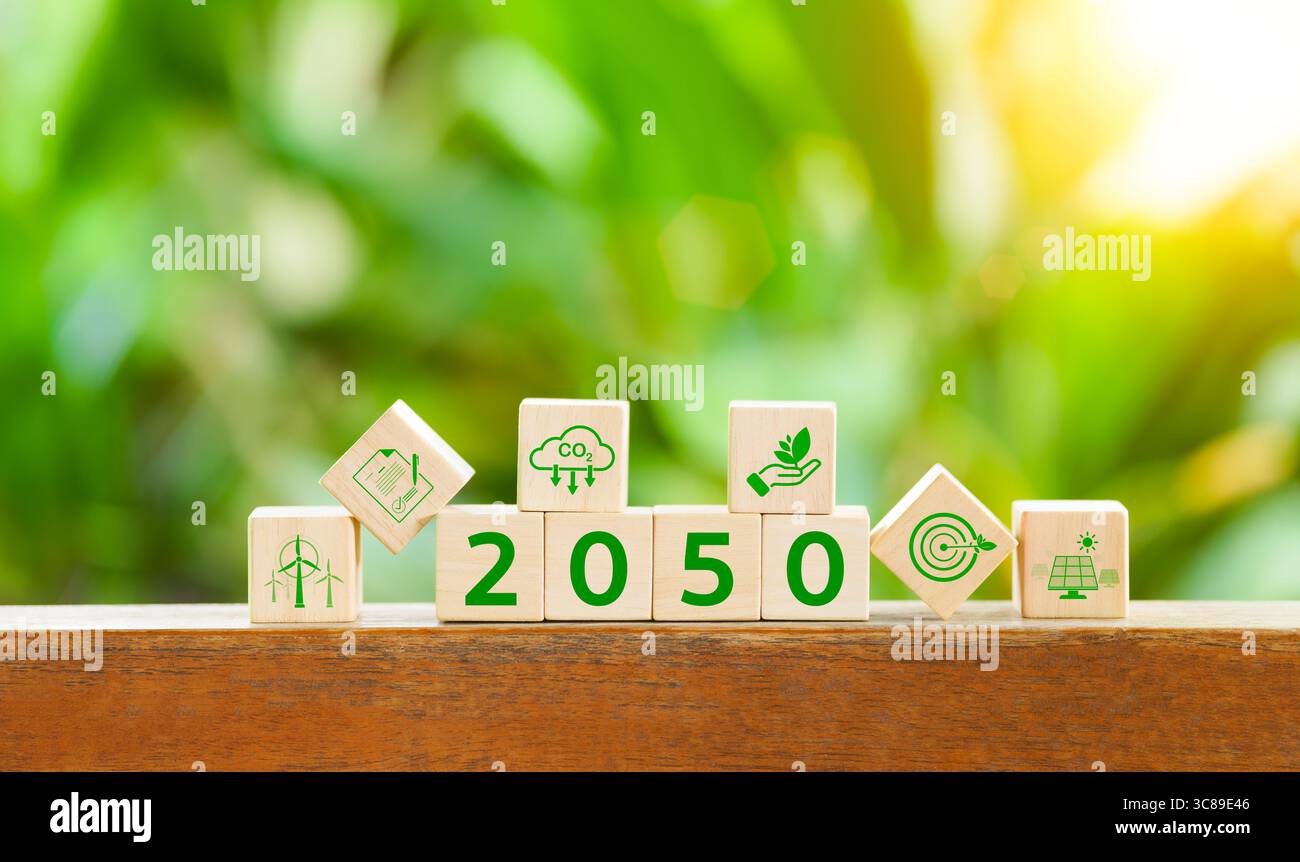 Konzept zur Reduzierung der CO2-Emissionen. Das Jahr 2050 auf Holzblock. CO2-neutral, Net Zero, Klimawandel, nachhaltige Energie, CO2-Bilanz, Umgebung Stockfoto