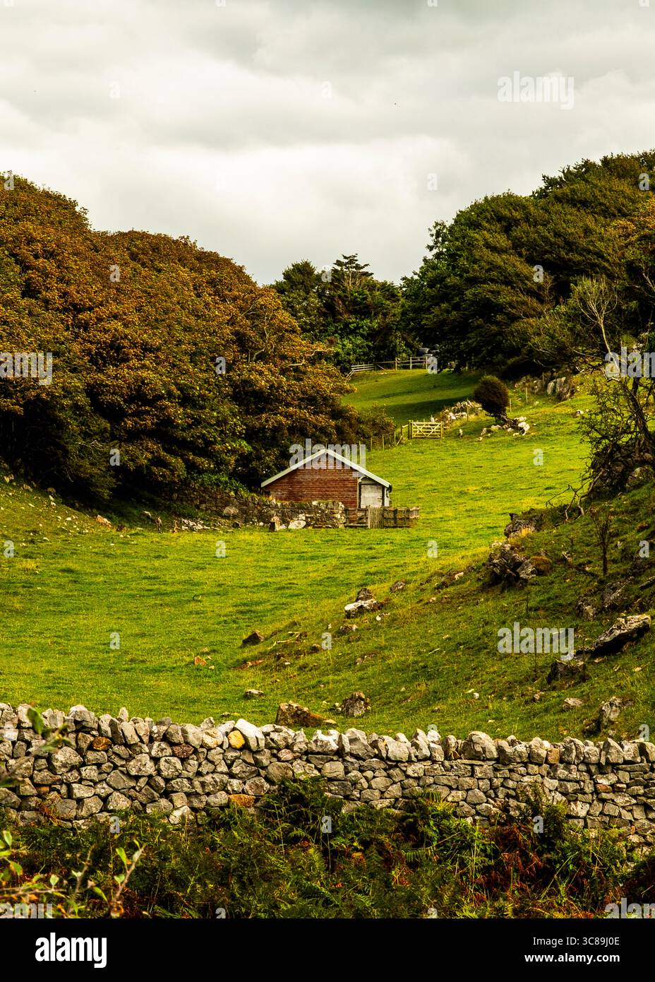 Ein kleines Holzgebäude befindet sich in einem grünen Tal, umgeben von Bäumen und einer Steinmauer. Stockfoto