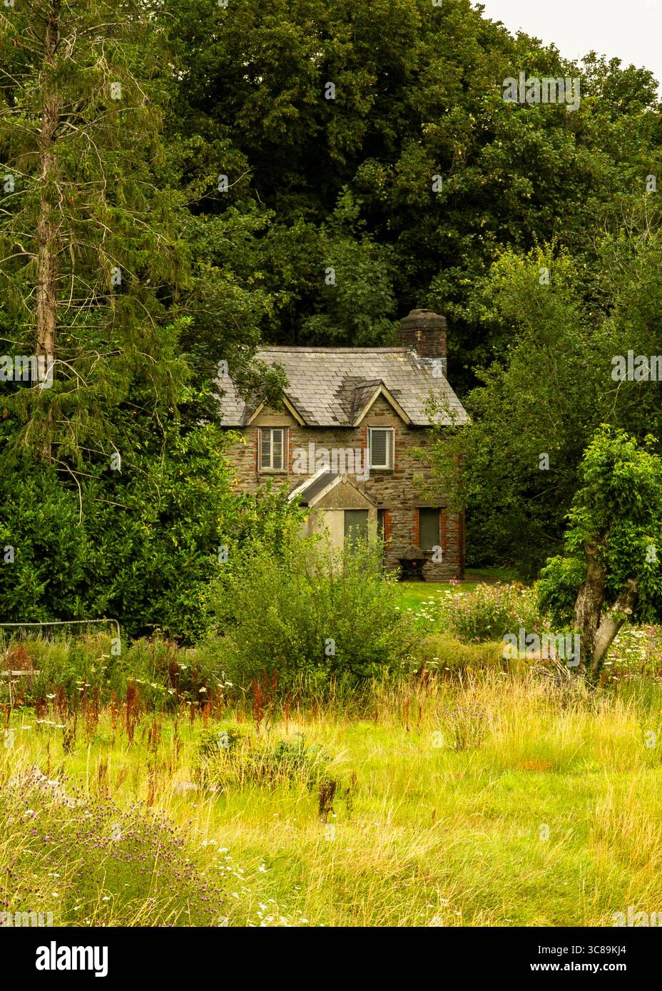Ein Steinhaus ist eingebettet zwischen üppigem Grün, mit einem Feld von hohem Gras und Wildblumen im Vordergrund. Stockfoto